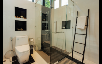 Modern Shower and Toilet in the Master Suite