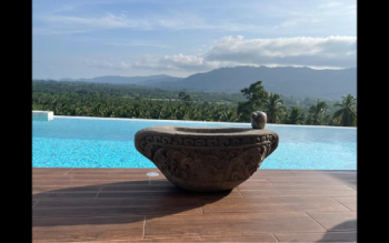 Tranquil Infinity Pool with Jungle Backdrop